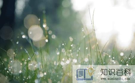 2022白露过后怎么还这么热2