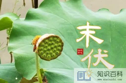 2022末伏后天气凉快了么3
