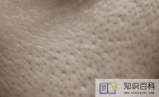 夏天脸上毛孔粗大怎么办2
