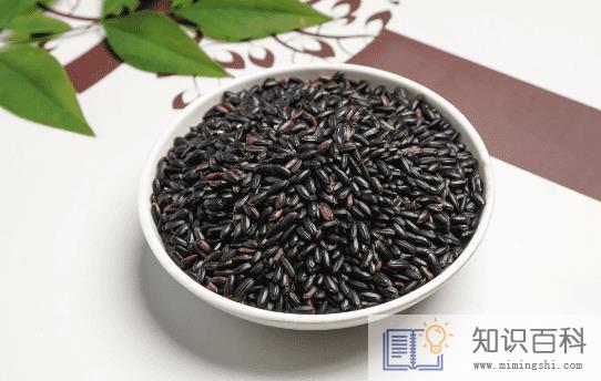 黑米和紫米哪个更能减肥2