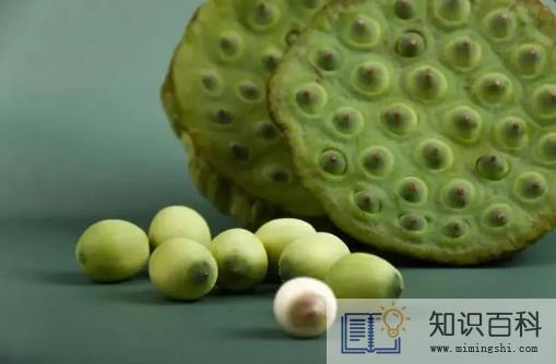 新鲜莲子生吃好还是煮熟吃好1