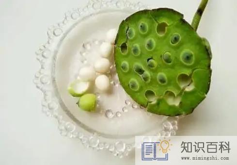 新鲜莲子生吃好还是煮熟吃好3