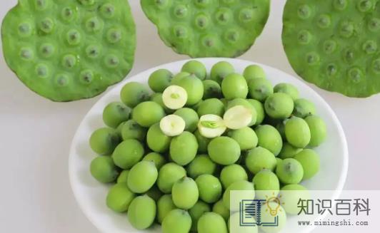 新鲜莲子怎么保存时间长不会发黄3