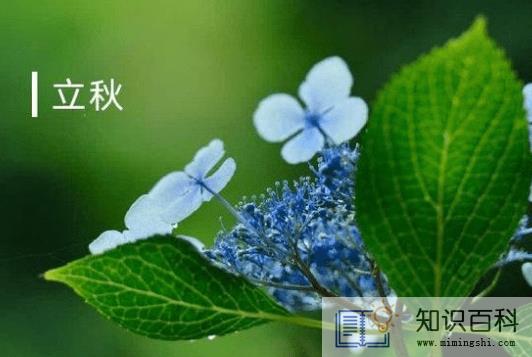 2022年立秋后早晚会凉快吗2