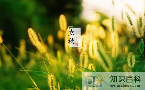 2022年立秋后早晚会凉快吗3
