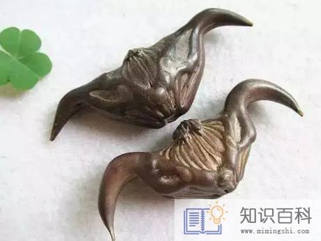 煮熟的菱角第二天吃要再煮吗3