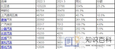 口碑最好的纯电动汽车哪家好20222