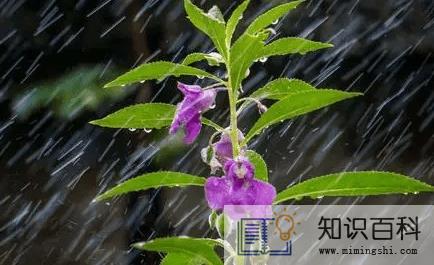 出嫁下大雨好不好1