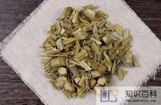 铁树叶的功效与作用及禁忌1