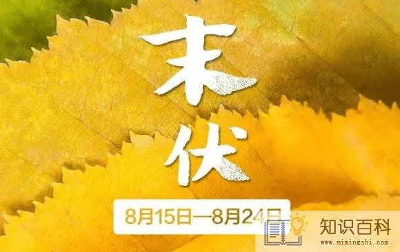 2022年末伏最后一天是几月几号1