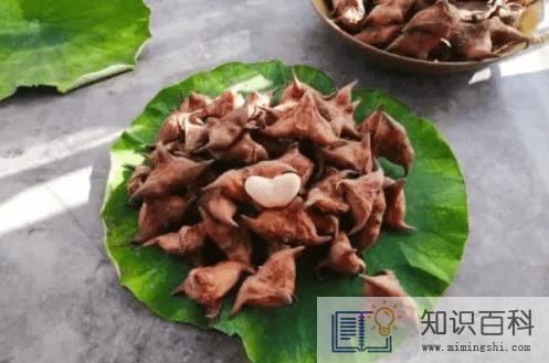 菱角冷冻一年可以食用吗3