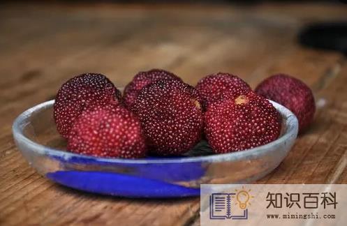 杨梅有虫吃了会怎么样2