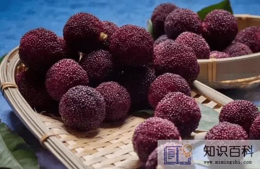 杨梅有虫吃了会怎么样3