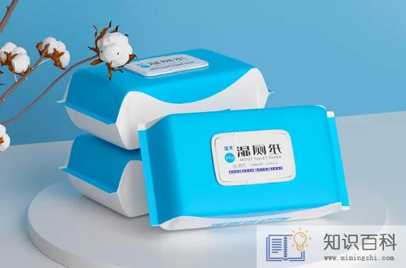 湿厕纸和湿纸巾哪个好1