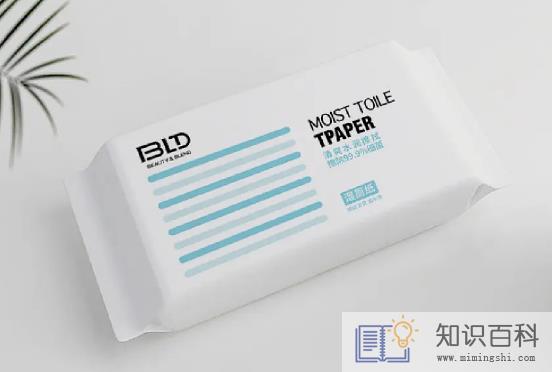 湿厕纸和湿纸巾哪个好2