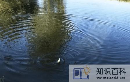 2022年大暑是一年中最热的时候吗1