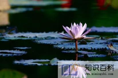 2022年大暑是一年中最热的时候吗2