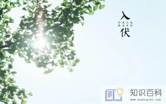 2022年三伏天几点入伏1