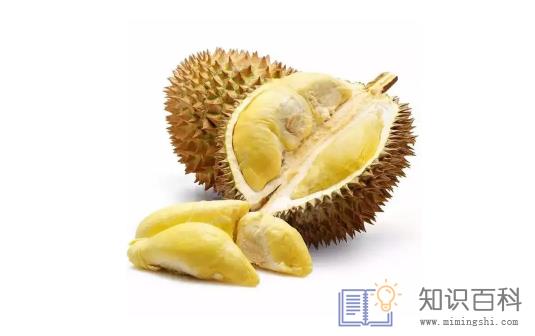 干包榴莲是不是没熟2