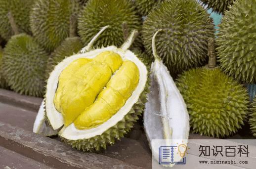 干包榴莲是不是没熟3
