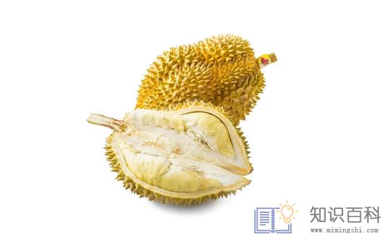 榴莲泡黄水是干什么1