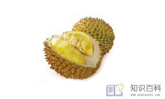 榴莲泡黄水是干什么2