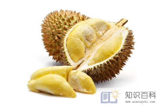 榴莲泡黄水是干什么3