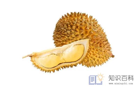 干包榴莲是什么意思2