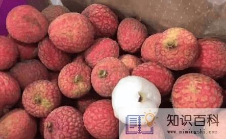 妃子笑荔枝种植几年才挂果1
