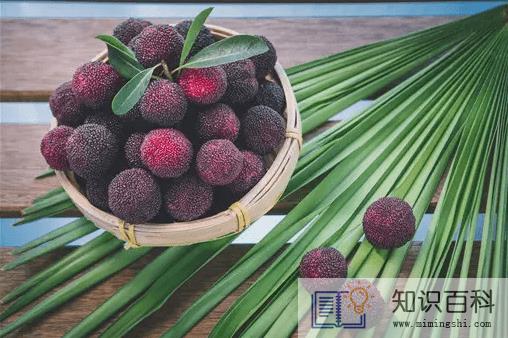 杨梅里面的小白虫可以吃吗3