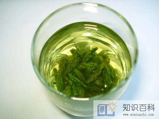 芦笋茶的功效与作用及禁忌3