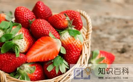 草莓怎么储存保鲜1