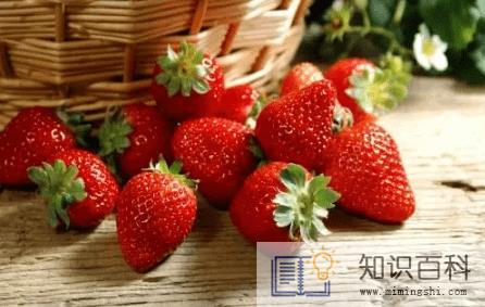 草莓怎么储存保鲜3
