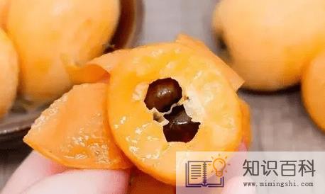 枇杷怎么保存时间长3