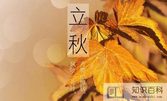 2022年立秋时间几点几分几秒1