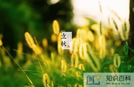 2022年立秋时间几点几分几秒2