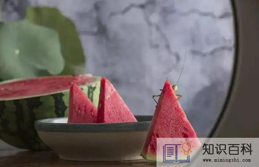 2022年一伏二伏三伏的时间3