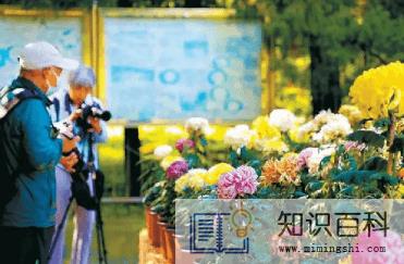 2022年国庆去青岛能下海吗2