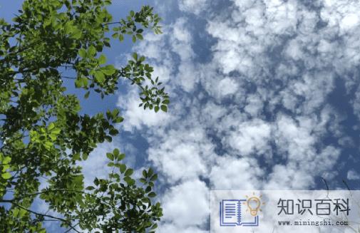 河南热还是广东热1