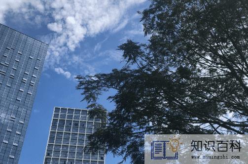 河南热还是广东热2