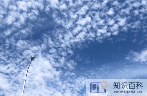 河南热还是广东热3