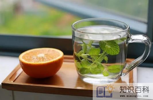 湿气重的人可以喝薄荷叶泡水吗1