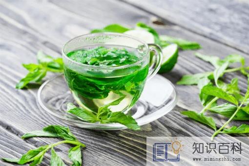 湿气重的人可以喝薄荷叶泡水吗3