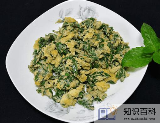 薄荷可以炒鸡蛋吃吗3