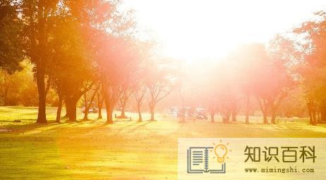 2022年中伏是二十四节气吗3