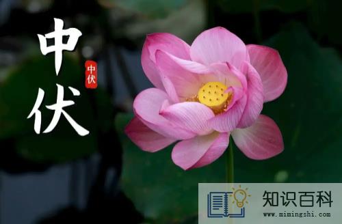 2022年中伏是十天还是二十天1