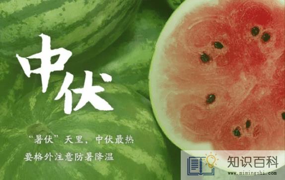 2022年中伏是十天还是二十天2