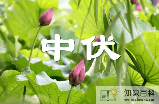 2022年中伏是十天还是二十天3