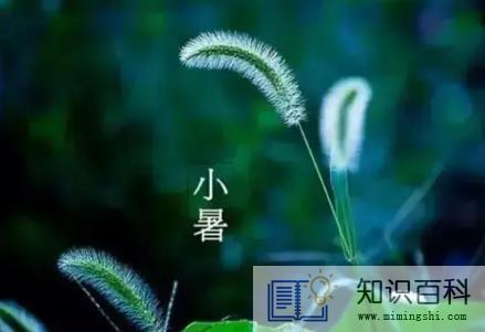 小暑节气下雨好还是出太阳好3