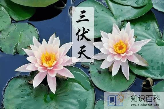 2022三伏天最热是哪个伏天2